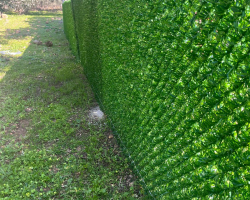 Edremit Citteli Firmasi Telefonbilgileri.31 1 001